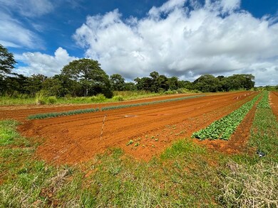 0 Puueo Mauka Dr, Hilo, HI 96720 - photo 6