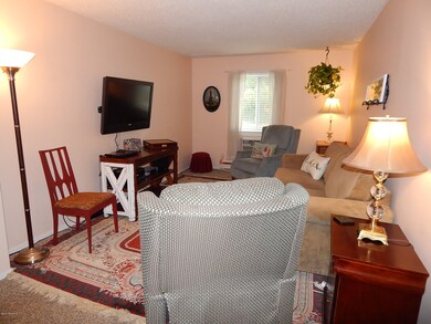 173 E Michigan Ave unit 206A, Three Rivers, MI 49093 - photo 7