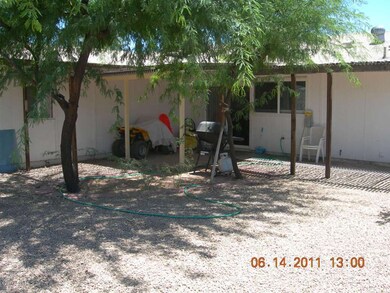 Back yard