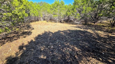 1801 Santa Cruz Cir, Lago Vista, TX 78645 - photo 2