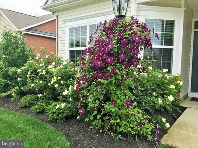 4751 Londonberry Ln, White Plains, MD 20695 - photo 5