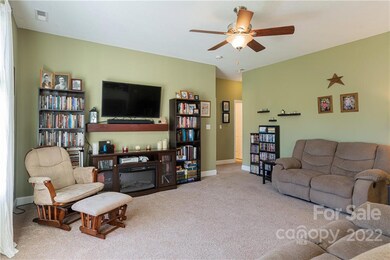 78 Bear Creek Hills Dr, Leicester, NC 28748 - photo 4