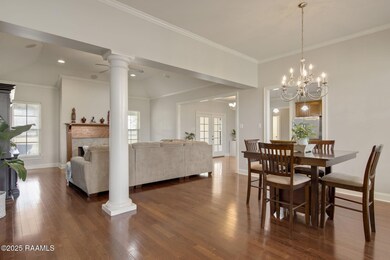 240 Canino Rd, Rayne, LA 70578 - photo 4