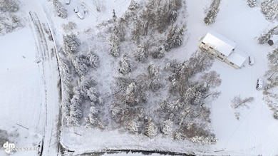 46110 Spruce Place, Nikiski, AK 99611 - photo 4