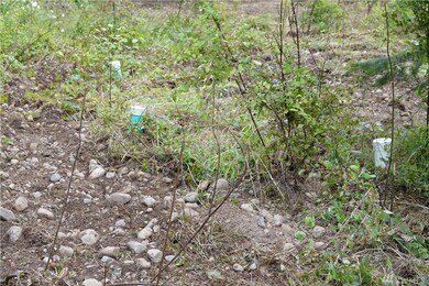 2217 384th St E, Roy, WA 98580 - photo 3