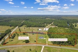 LOT 41 Thoroughbred Rd, Woodbine, GA 31569 - photo 2