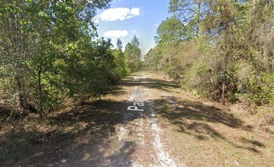 337 Palm Way, Georgetown Cove, FL 32139 - photo 7