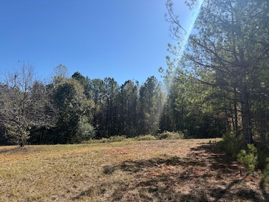 0 Backbone Church Rd unit 25581317, Gordo, AL 35466 - photo 4