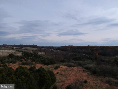 0 Junction Rd unit VASH118694, Strasburg, VA 22657 - photo 3