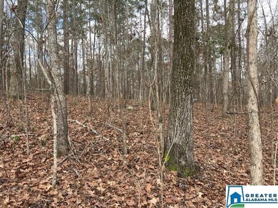 LOT 85 Cyprus Cir unit 85, Sylacauga, AL 35151 - photo 6