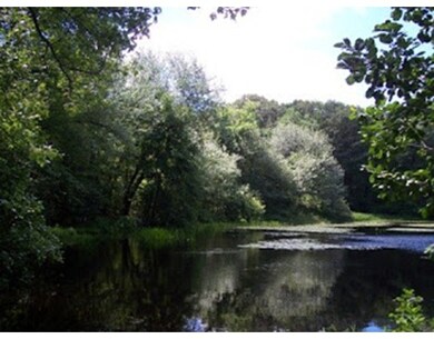 15 Dix St unit 7, Winchester, MA 01890 - photo 7