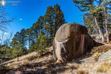 TBD Arrowhead Rd, Florissant, CO 80816 - photo 7