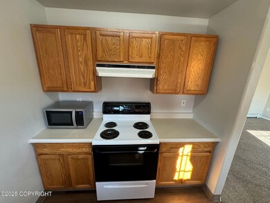 2651 E Quiet Cir unit C9, Wasilla, AK 99654 - photo 3