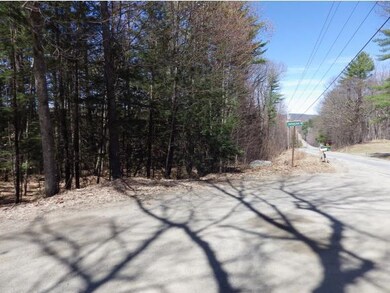 0 Rte 63 & Crowningshield Rd, Chesterfield, NH 03462 - photo 3