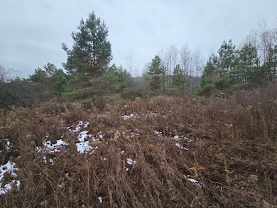 421 Beaver Meadow Rd, Plymouth, NY 13832 - photo 6