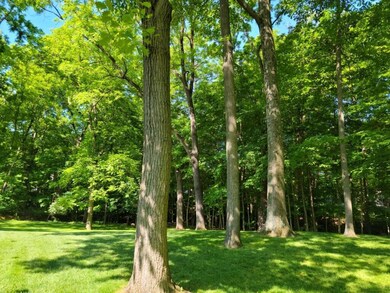 6507 Hearthstone Ave, Columbus, OH 43229 - photo 6