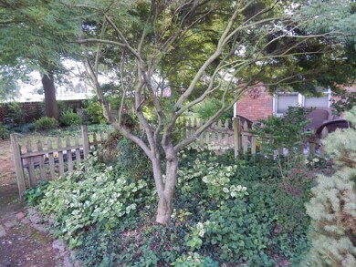 306 W Aven Ave, Nixa, MO 65714 - photo 6