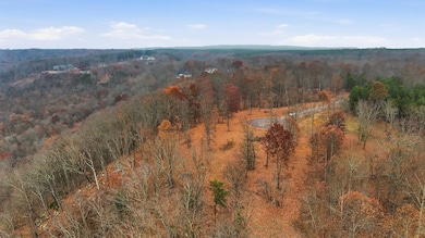 361 Volunteer St, Jasper, TN 37374 - photo 4