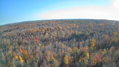 L38,38-2 Gilman Rd, Guilford, ME 04443 - photo 3