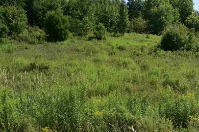 Rte. 18 Saint Johnsbury, Littleton, NH 03561 - photo 4