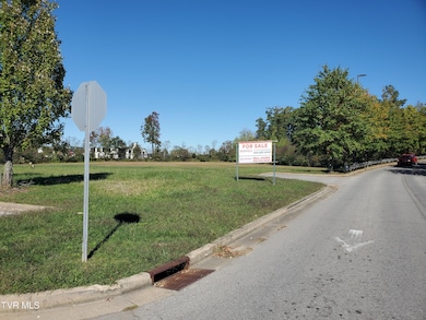 TRACT 3B Headtown Rd, Jonesborough, TN 37659 - photo 4