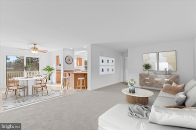 12454 Mirey Branch Rd, Laurel, DE 19956 - photo 3