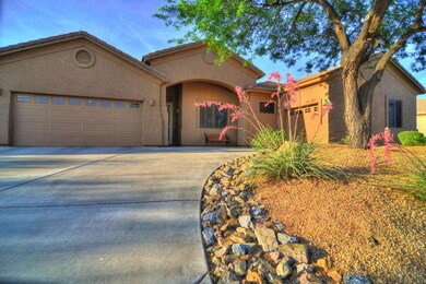 Low maintenence landscaping