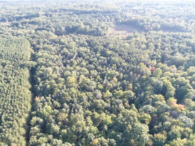 DJI_0078