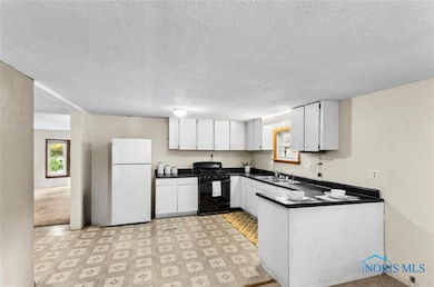 4555 S Fulton Lucas Rd, Swanton, OH 43558 - photo 7