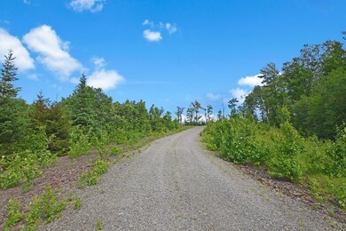 333 Osgood Farm Rd, Littleton, NH 03561 - photo 5