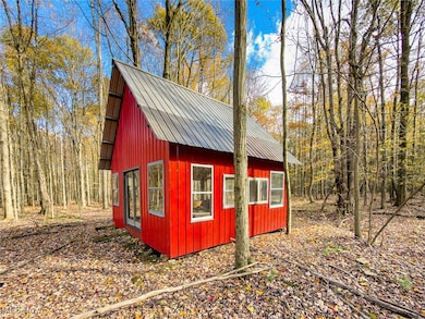 0 Middle Rd, Pierpont, OH 44082 - photo 3