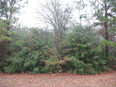 165 White Oak Ln, Lufkin, TX 75904 - photo 6