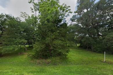 0 Pecan Dr unit Brazoria TX 77422, Brazoria, TX 77422 - photo 3