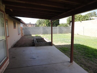 back yard