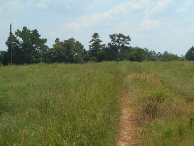 400 BLK County Road 134, Garrison, TX 75946 - photo 3