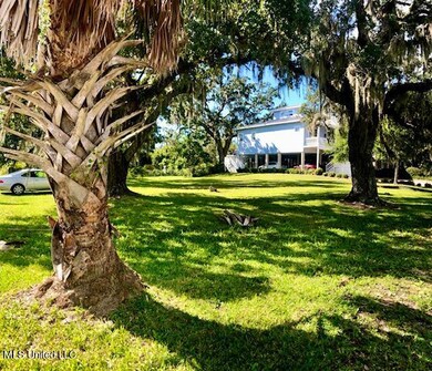 Looking Across Lot to Neighbor