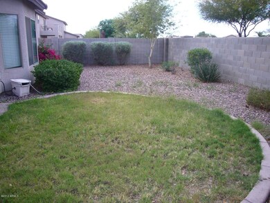 rear yard