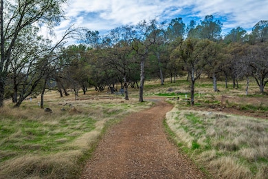 21694 Cricket Dr, Grass Valley, CA 95949 - photo 6