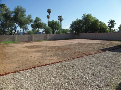 Backyard 4