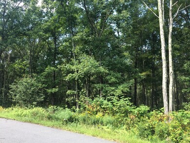 125 Springwood Dr, Hawley, PA 18428 - photo 5