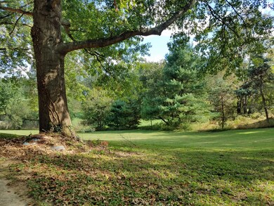 Spacious Back Yard