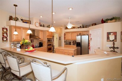 Deluxe Gourmet Island Kitchen
