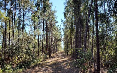 0 SW Spur Rd unit 121583, Lee, FL 32059 - photo 7