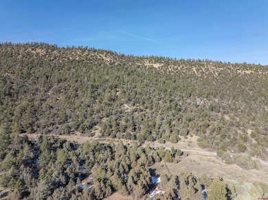 TBD Tract 7 Old Relay Rd, Ridgway, CO 81432 - photo 7
