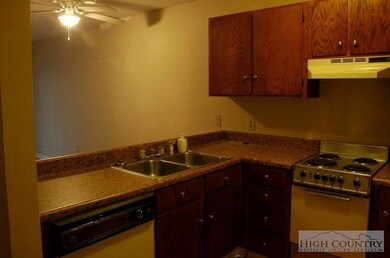 521 Meadowview Dr unit 203D, Boone, NC 28607 - photo 5