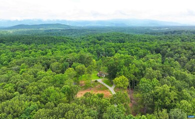 1293 Pounding Creek Rd, Charlottesville, VA 22903 - photo 3