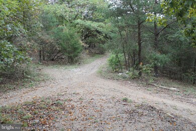 0 0 890 Acres Fountain Head Dr, Keyser, WV 26726 - photo 6