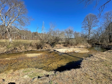 12293 Old Highway 76, Morganton, GA 30560 - photo 2