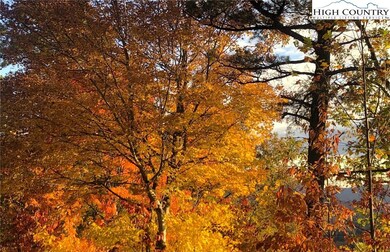 1005 Reynolds Pkwy, Ferguson, NC 28624 - photo 2