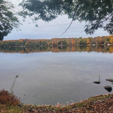 59 Camp Rd, Palmyra, ME 04965 - photo 7